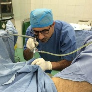 سنگ حالب