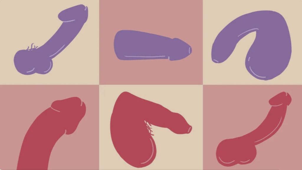 عکس انواع آلت