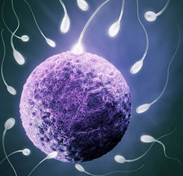 افزایش کیفیت اسپرم پس از عمل واریکوسل