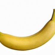انحناء آلت تناسلی