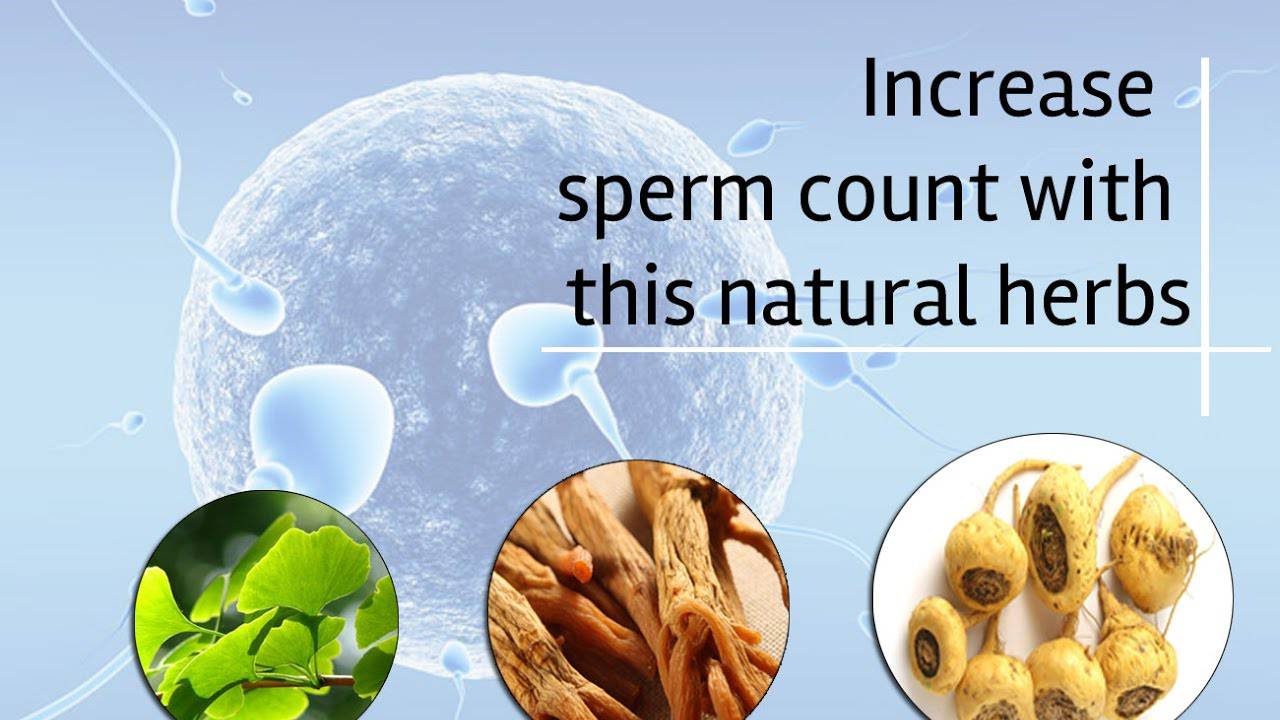 خوراکی های افزایش دهنده اسپرم