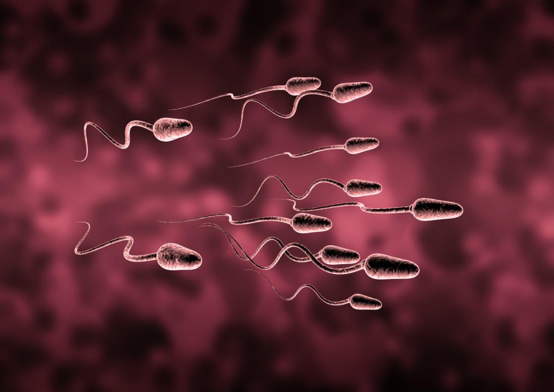 افزایش اسپرم با طب سنتی